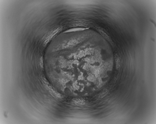 X0000102380729200808221801