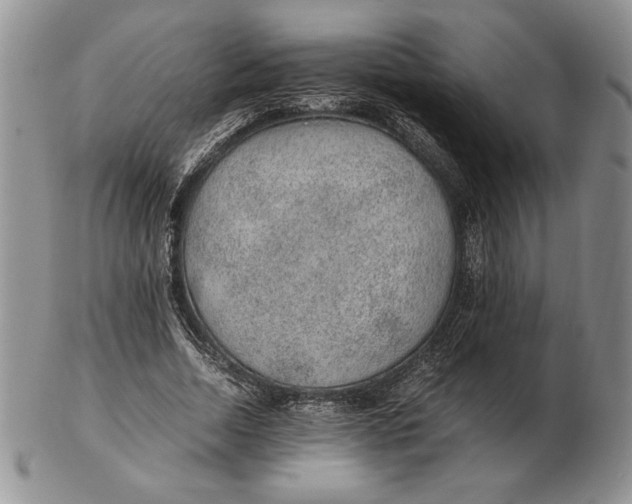 X0000102380730200808221801