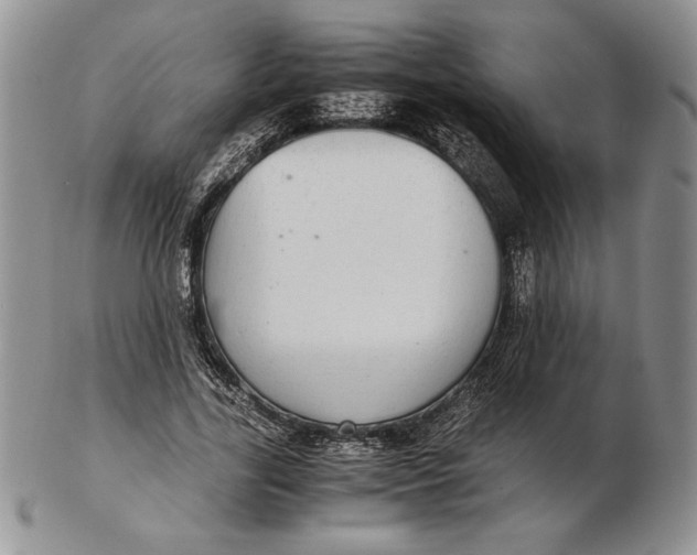 X0000102380731200808221801