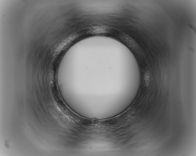 X0000102380732200808221801