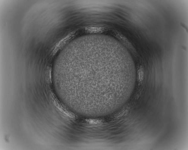 X0000102380733200808221801