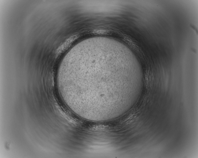 X0000102380734200808221801