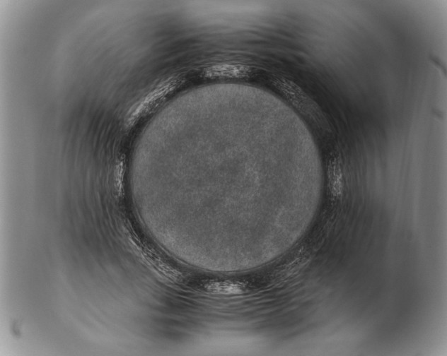 X0000102380735200808221801