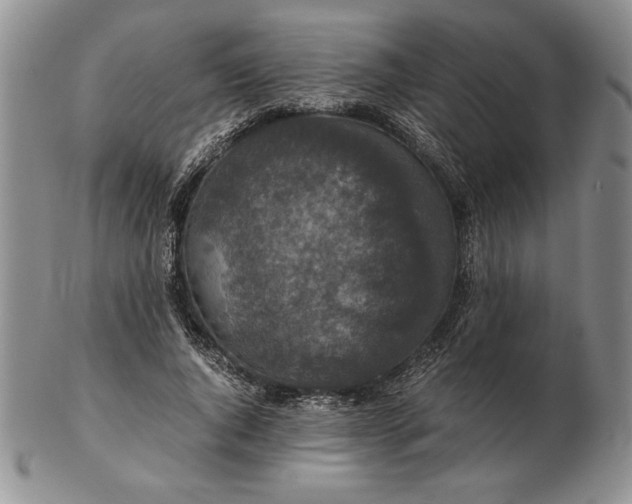 X0000102380736200808221802