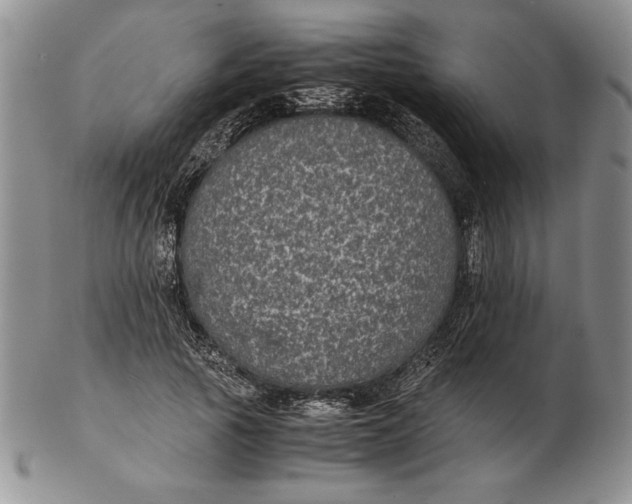 X0000102380737200808221802