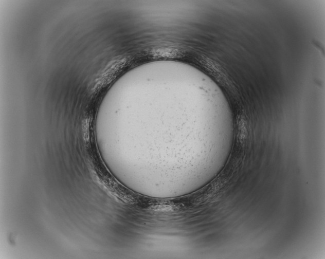 X0000102380738200808221802