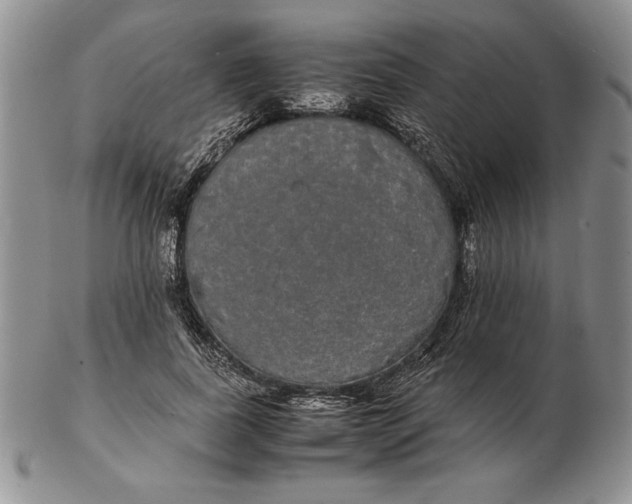 X0000102380739200808221802