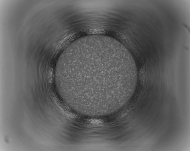 X0000102380741200808221802