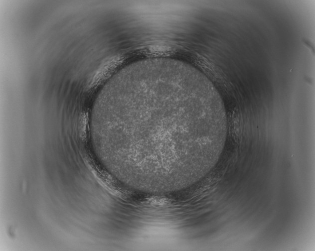 X0000102380742200808221802