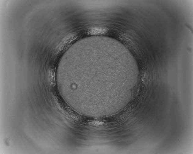 X0000102380743200808221802