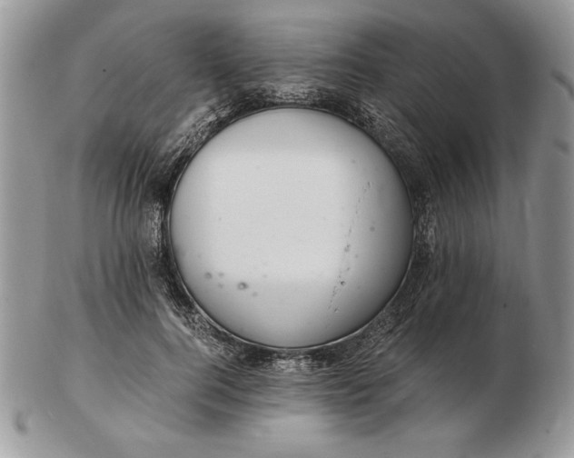 X0000102380744200808221802