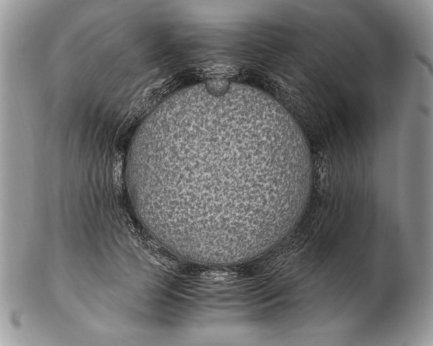 X0000102380745200808221802