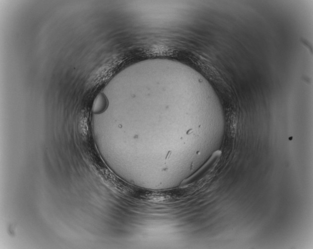 X0000102380746200808221802