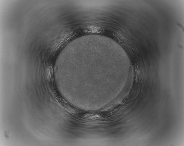 X0000102380747200808221802