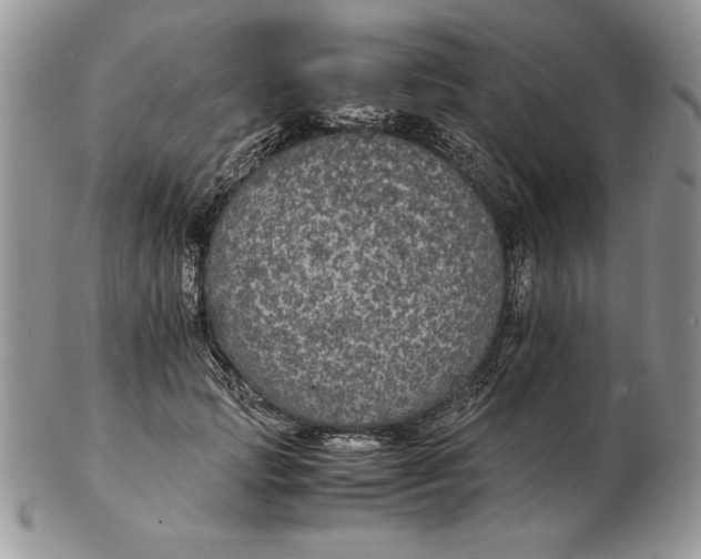 X0000102380749200808221802