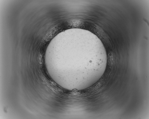 X0000102380750200808221802