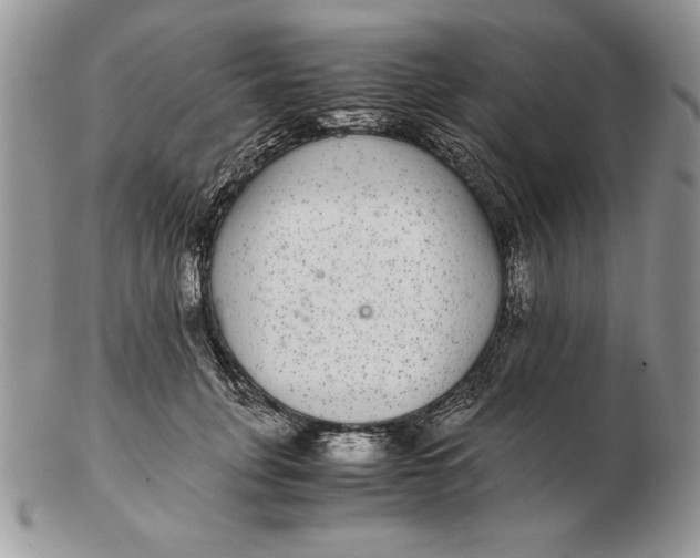 X0000102380751200808221802