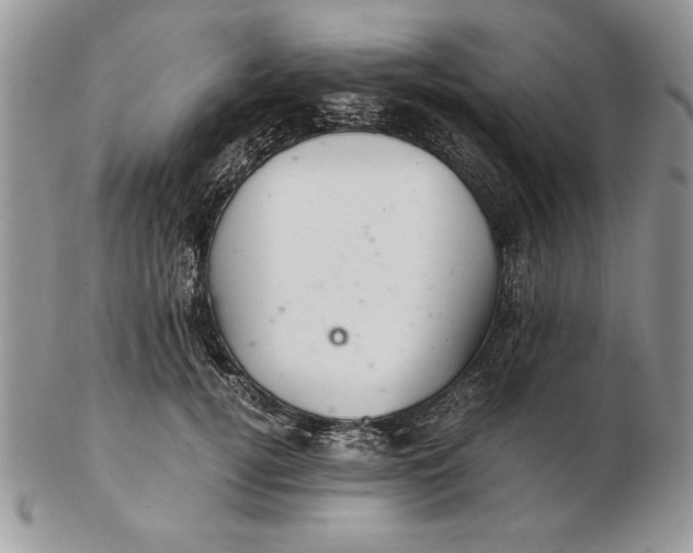 X0000102380752200808221802