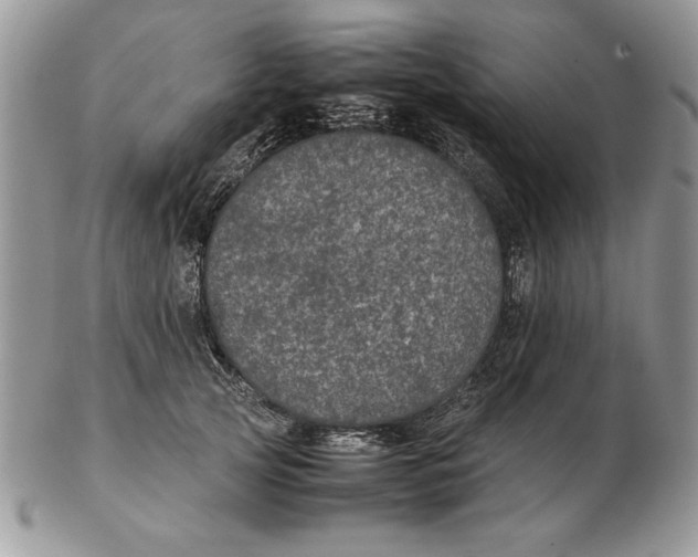 X0000102380753200808221802