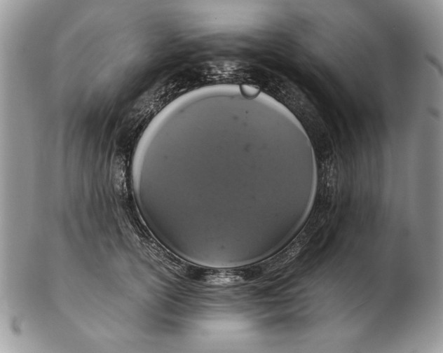 X0000102380754200808221802