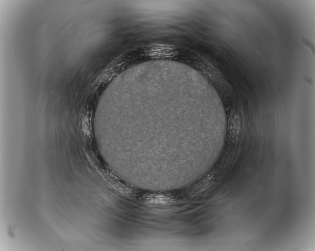 X0000102380755200808221802