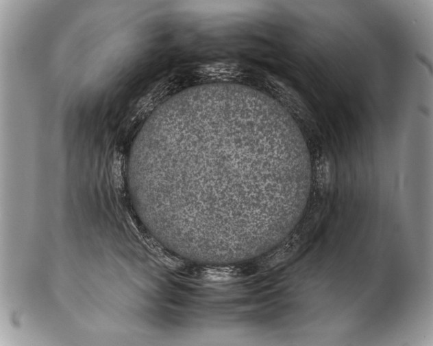 X0000102380757200808221802