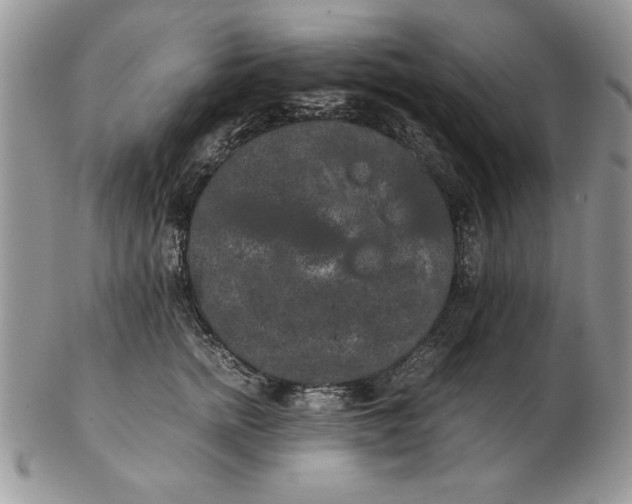 X0000102380758200808221802