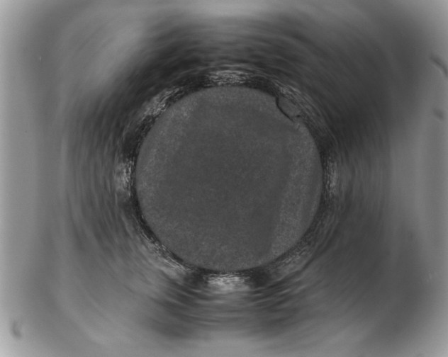 X0000102380759200808221802