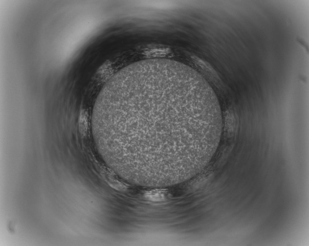 X0000102380761200808221802