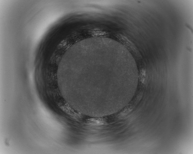 X0000102380763200808221802