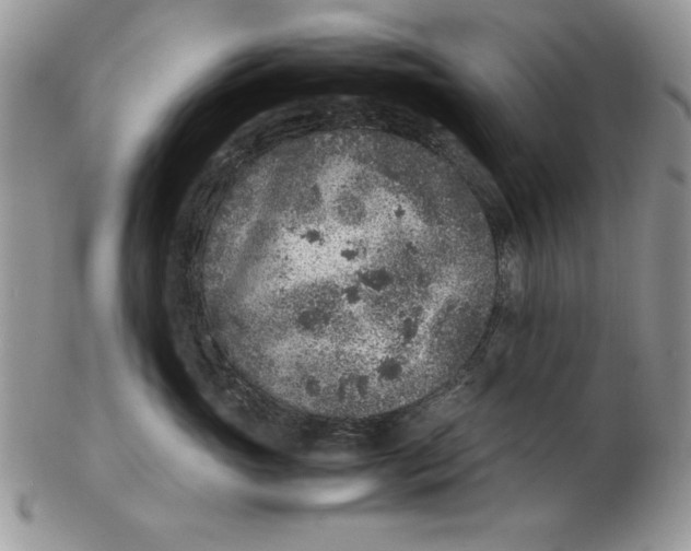 X0000102380765200808221802