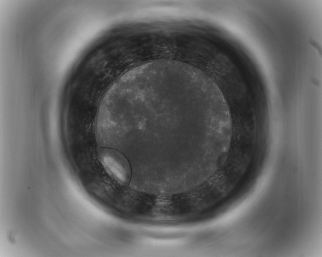 X0000102380766200808221802