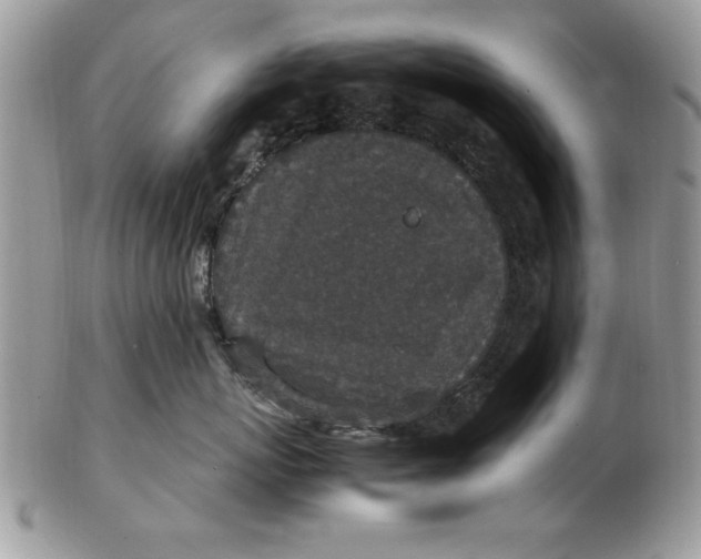 X0000102380767200808221802