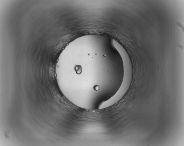 X0000102380768200808221802