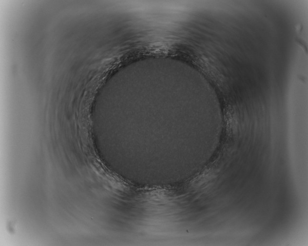 X0000102380769200808221801