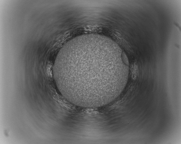 X0000102380770200808221801