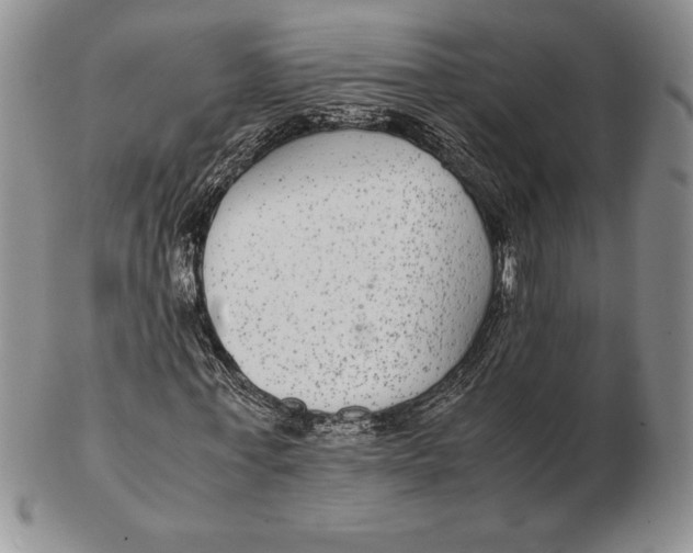 X0000102380771200808221801