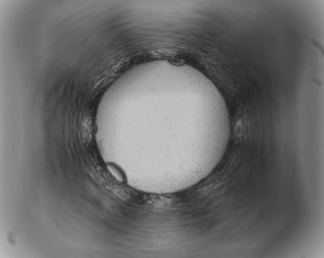 X0000102380772200808221801