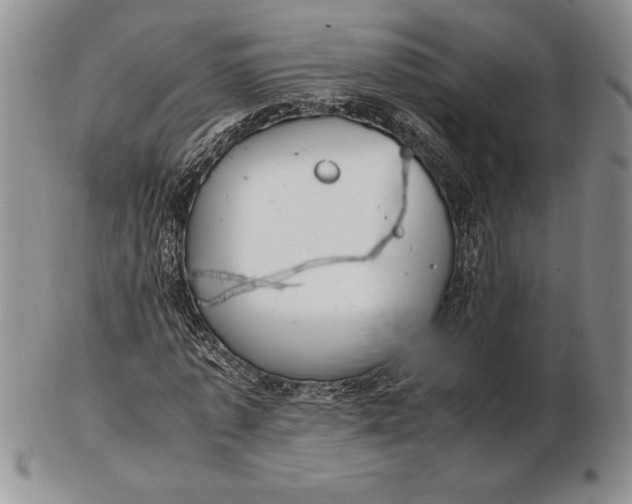 X0000102380773200808221801