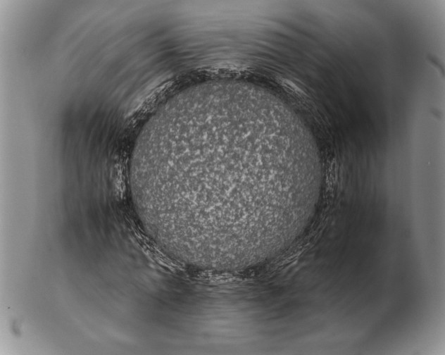 X0000102380774200808221801