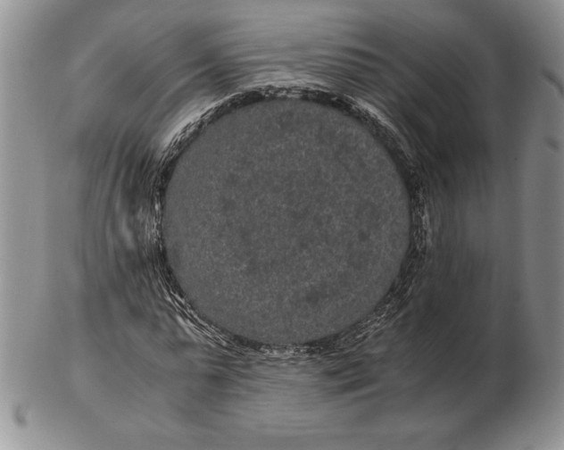 X0000102380775200808221801