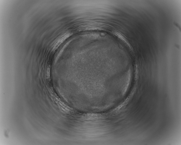 X0000102380777200808221801