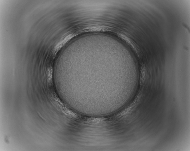 X0000102380778200808221801