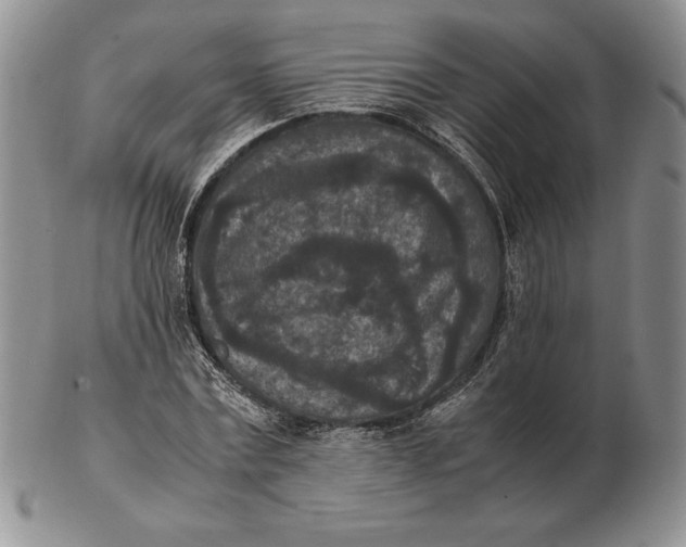 X0000102380779200808221801