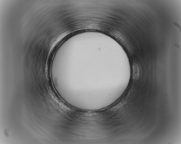 X0000102380780200808221801