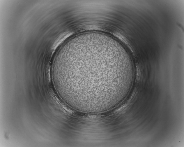 X0000102380782200808221801