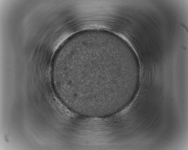 X0000102380783200808221801