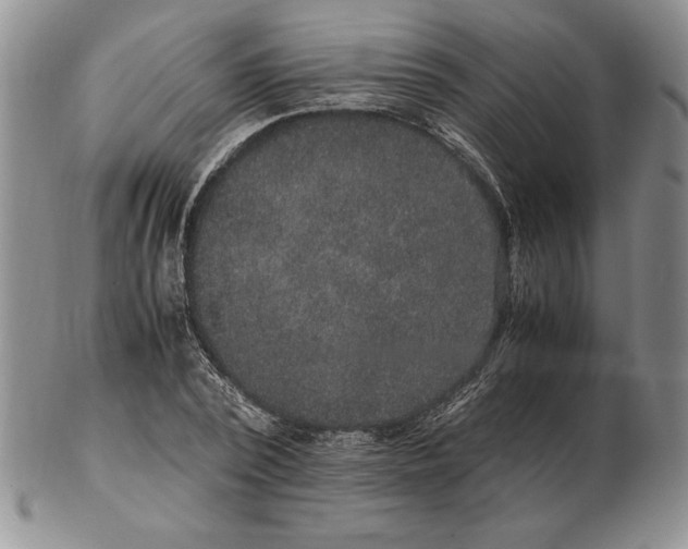 X0000102380784200808221801