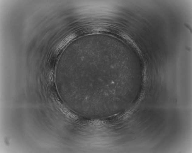 X0000102380785200808221801