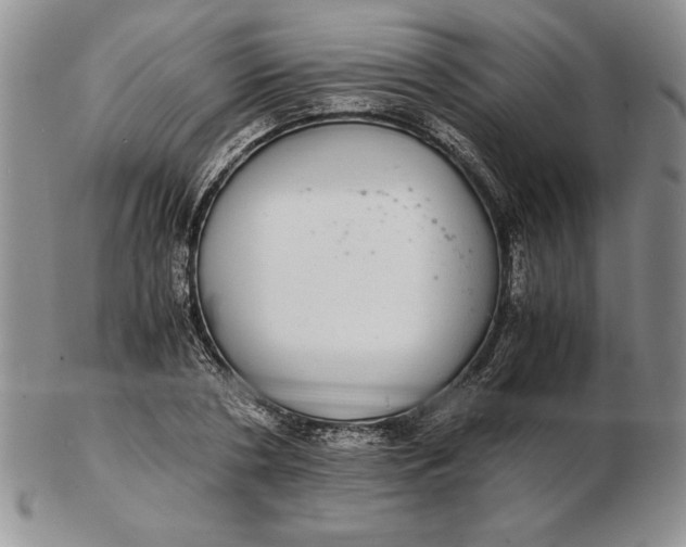 X0000102380786200808221801